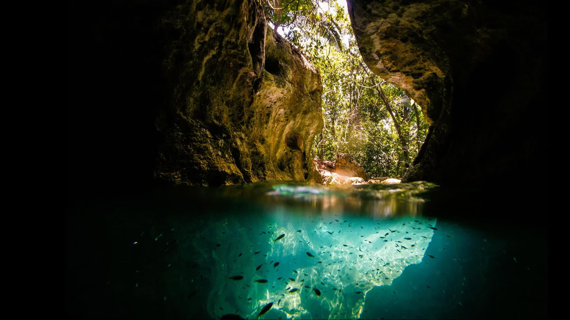 世界短道速滑教练能力认证第46期报名入口开启,世界短道速滑冠军是谁
